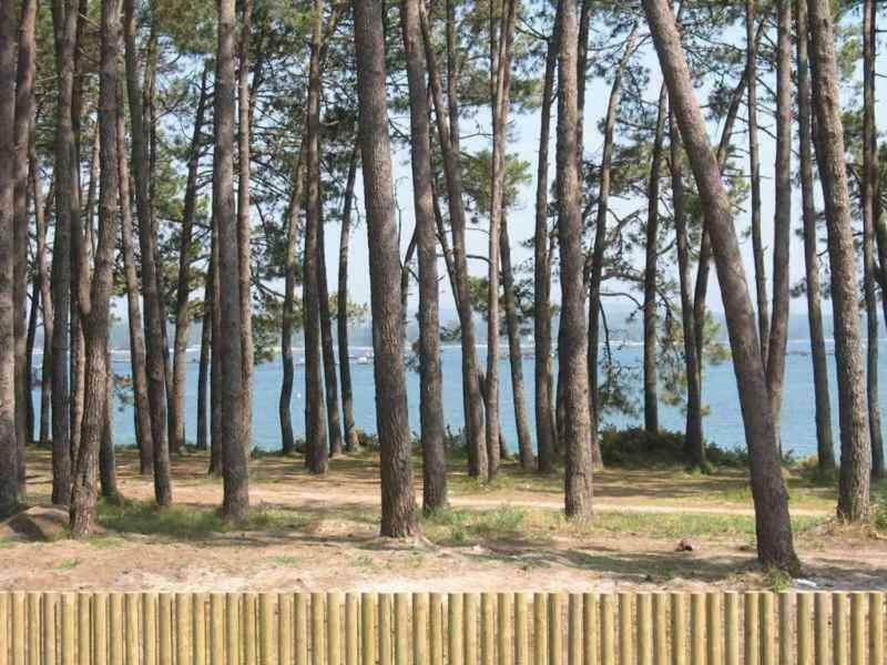 Apartamento Playa Ла-Исла-де-Ароса Экстерьер фото