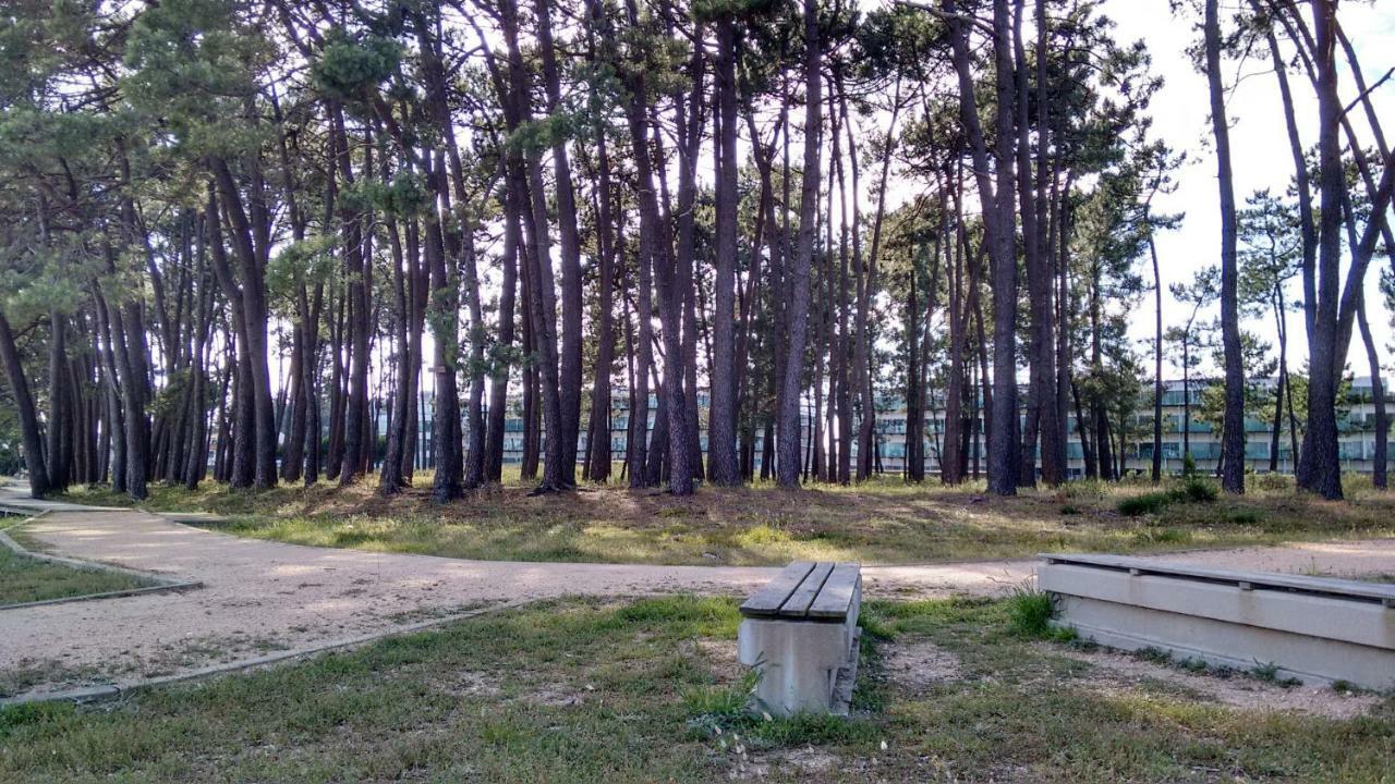 Apartamento Playa Ла-Исла-де-Ароса Экстерьер фото